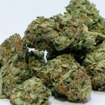 Can’t Stop, Won’t Stop: Unbeatable Online Deals on Weed